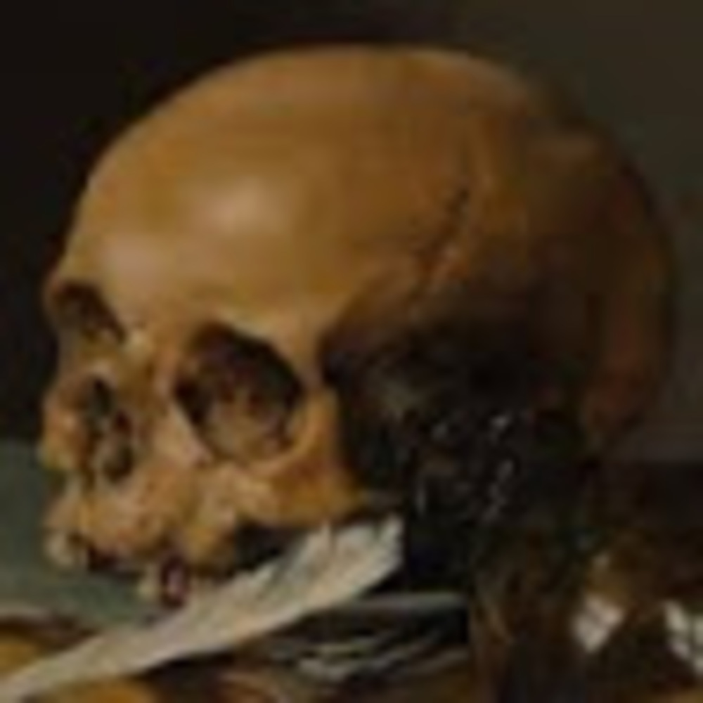 Meet your Posher, Peyton